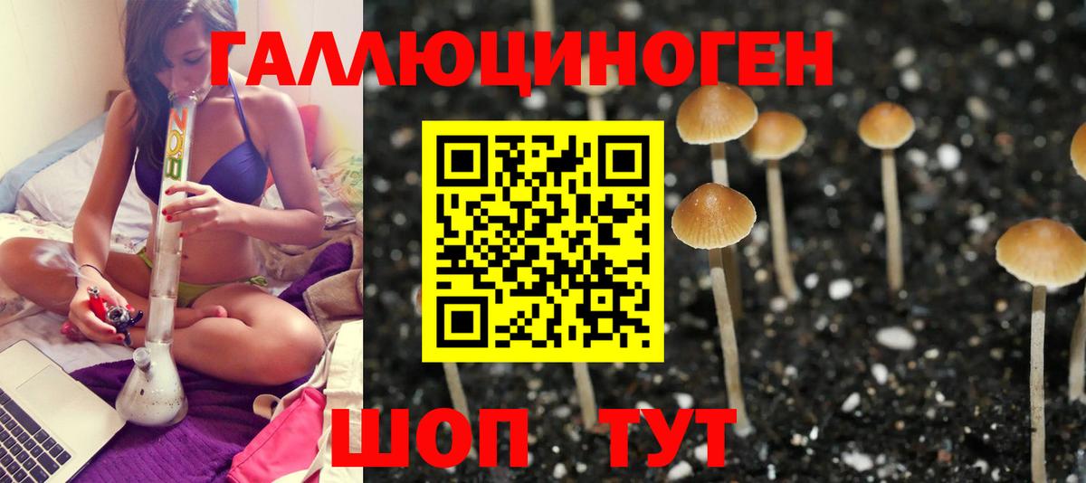 Галлюциногенные грибы Cubensis  Псилоцибиновые грибы мухоморы  Вход с VPN  Приморско-Ахтарск 